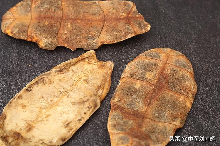 既补阴虚又补阳虚的中药,既能补阳虚又能补阴虚的中成药