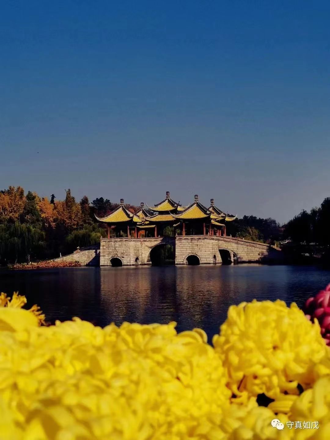 鍙嶅瓧鍙栧悕,鍙嶄箟鍙栧悕