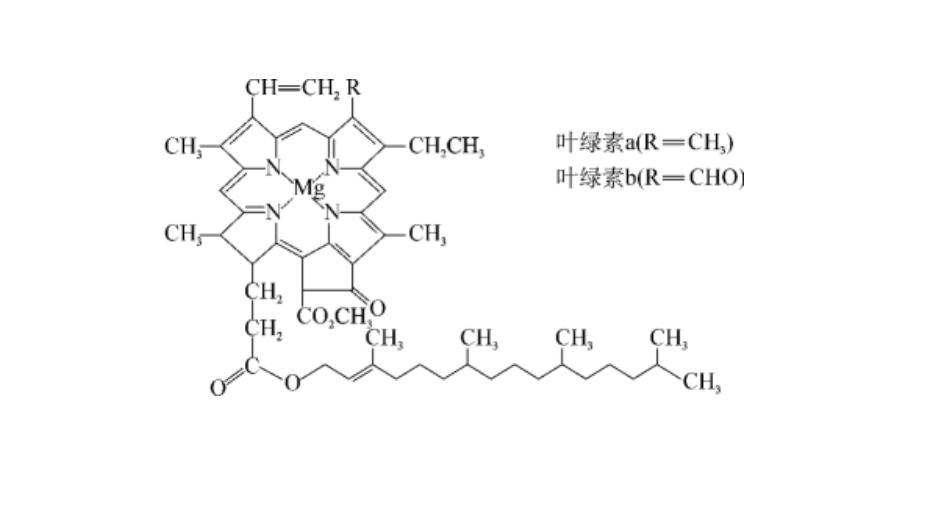 植物叶片营养成分检测仪,植株叶片检测技术