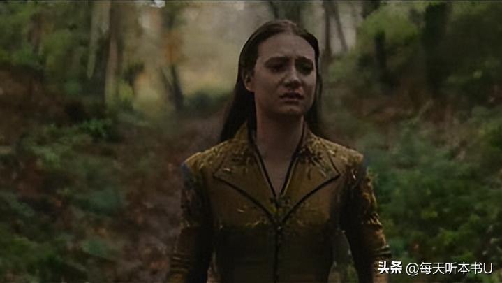 福楼拜包法利夫人讲解,福楼拜包法利夫人