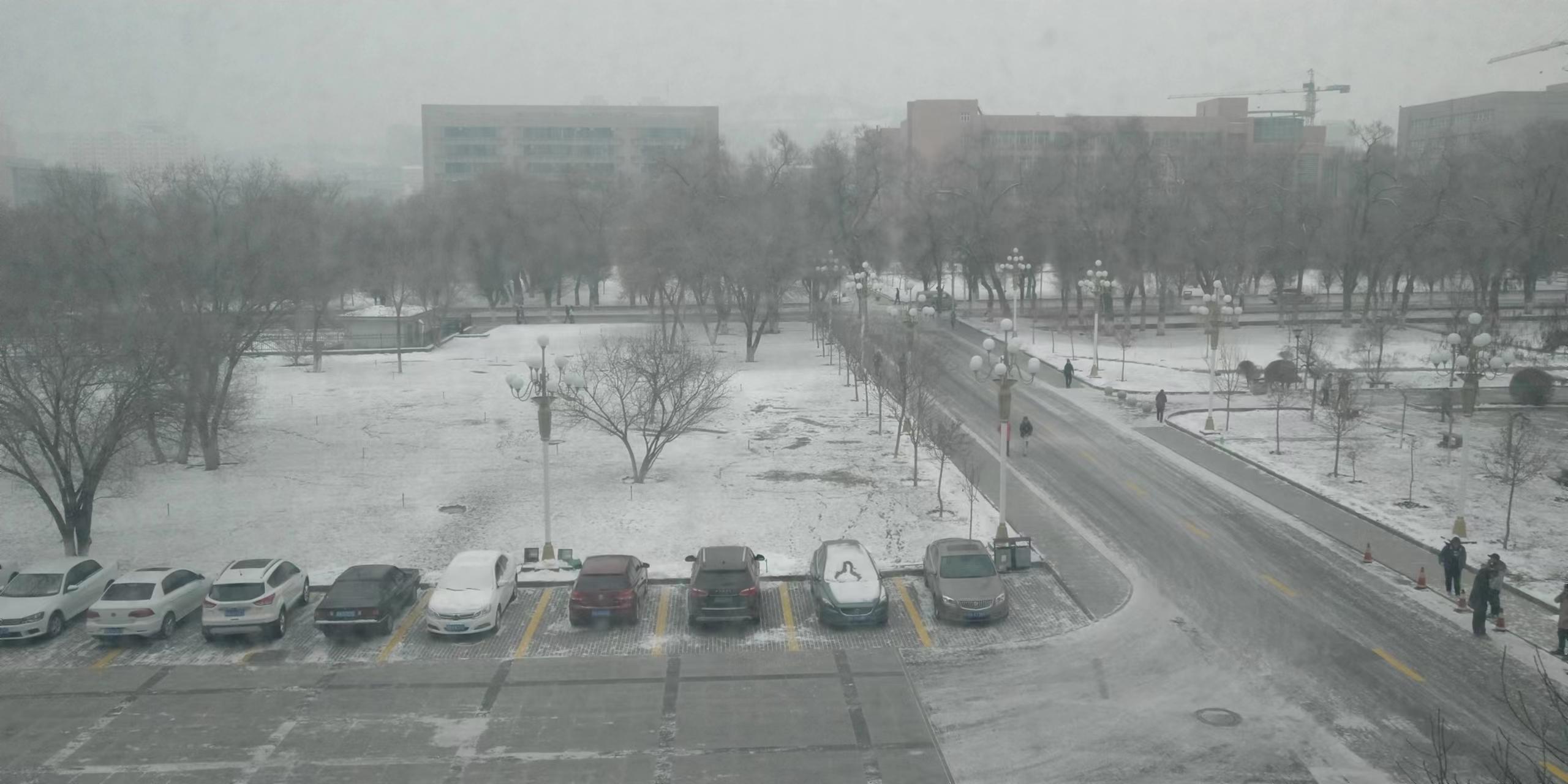 新疆农业大学在疆排名,全国教学评估新疆农业大学