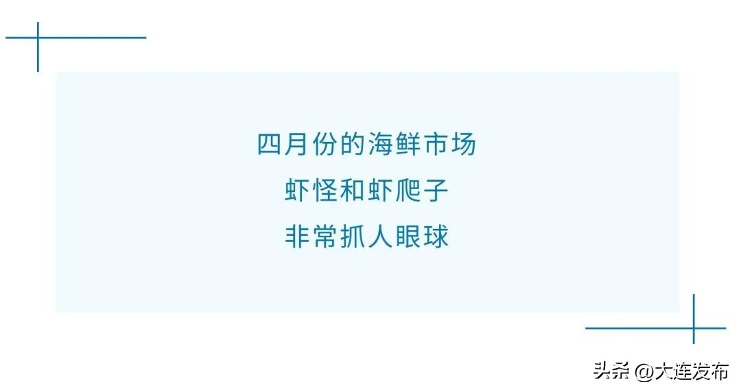实现海鲜自由的秘诀,实现海鲜自由另一种说法