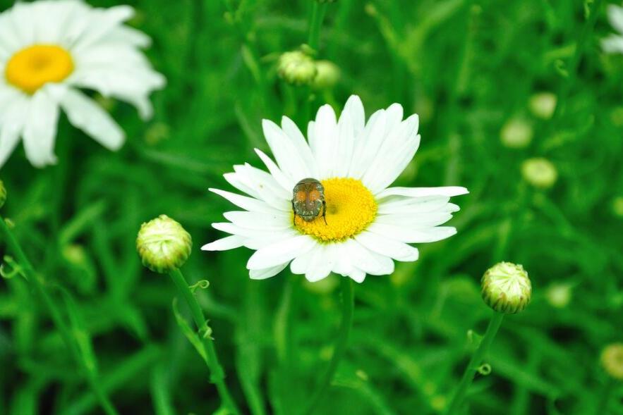 一生清醒却活得孤独的星座,专治抑郁的五大星座