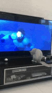 女孩子看见照片后就发个哈哈哈,姑娘不是什么照片都能随便发的