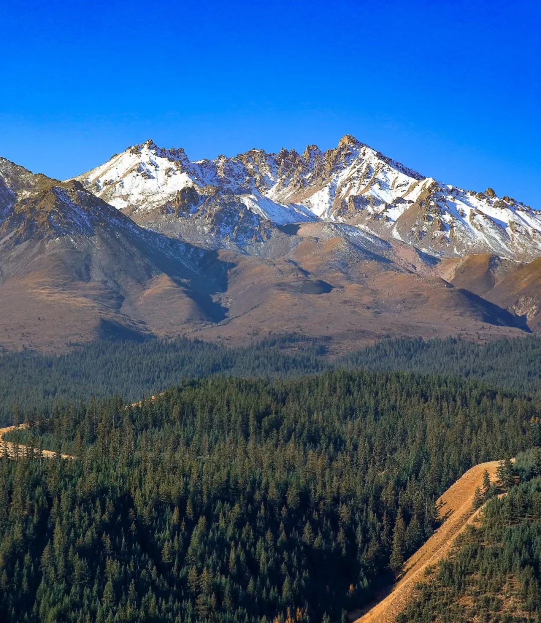 甘肃张掖有多少极致风光,甘肃张掖城市风光