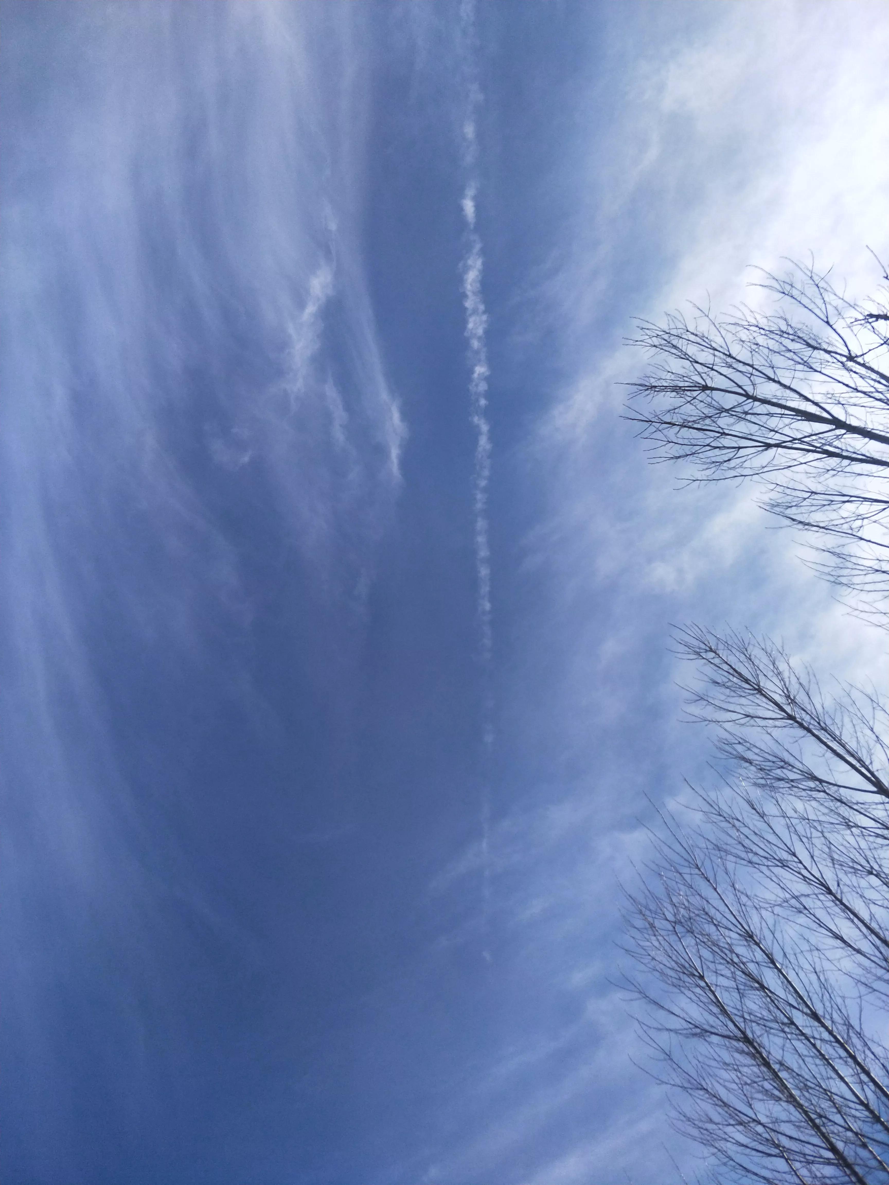 学习管理课程的心得体会,学习管理心得简短