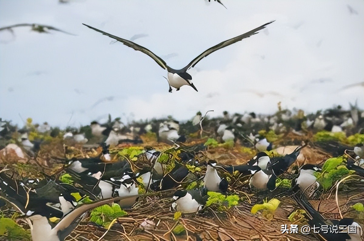 我国的钓鱼岛有多少人居住,中国最大的渔岛是哪里