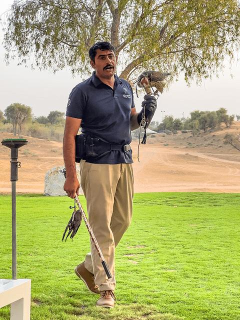 哈伊马角利兹卡尔顿,哈伊马角沙漠丽思卡尔顿酒店