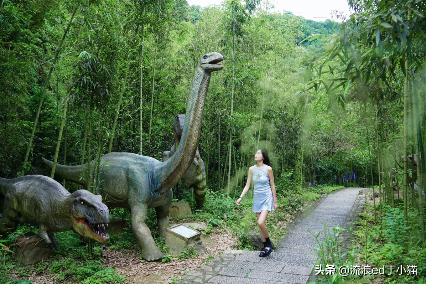 杭州周边游桐庐夏日避暑漂流攻略,桐庐夏天附近避暑最佳旅游地