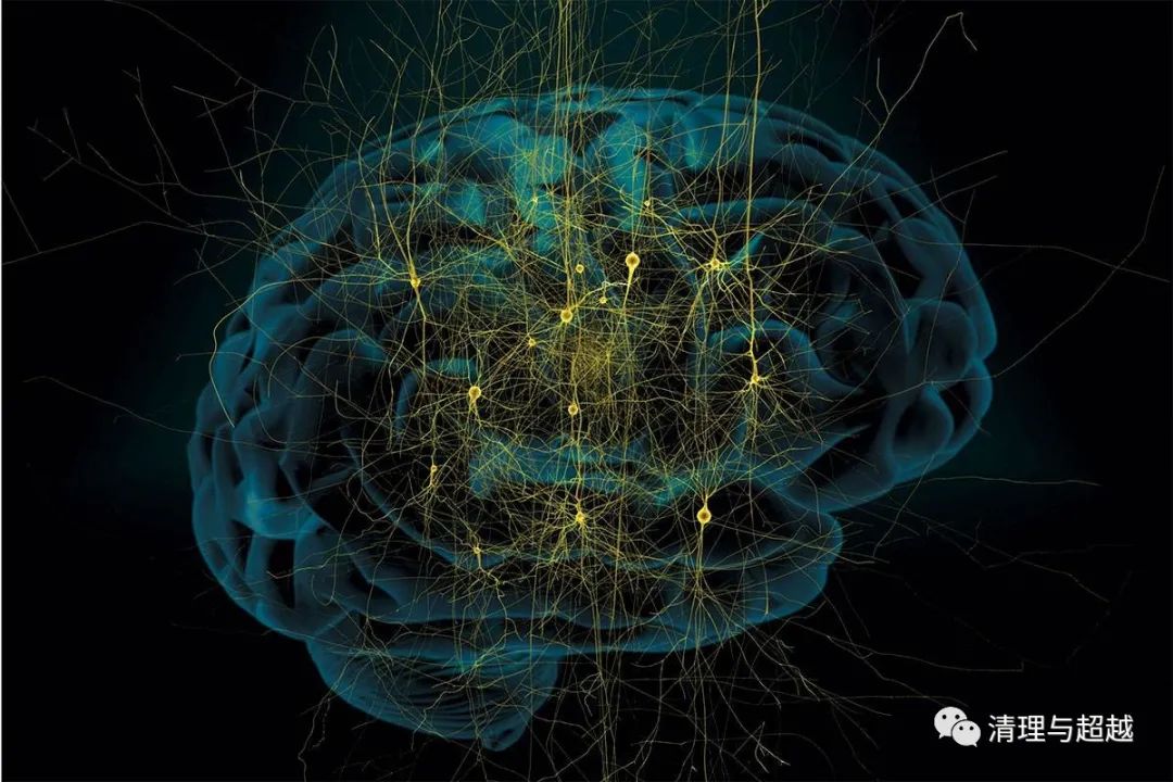 聂锦芳马克思,聂锦芳经典地位是如何确定的