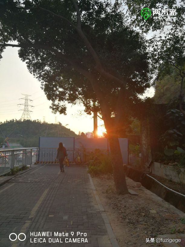 深圳徒步路线从梧桐山到盐田,深圳十峰大南山徒步最佳路线