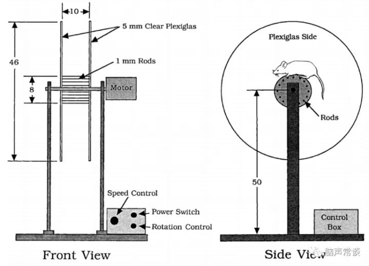 小鼠转棒疲劳测试仪,小鼠疲劳转棒实验步骤
