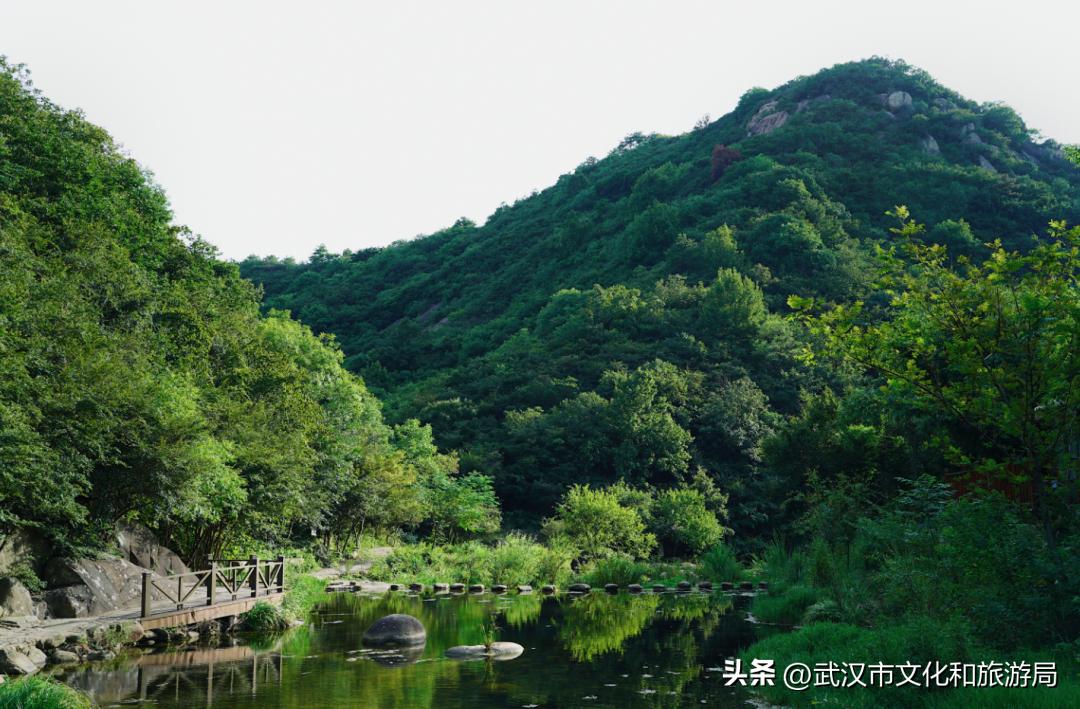 溪谷露营旅游攻略,溪谷玩水