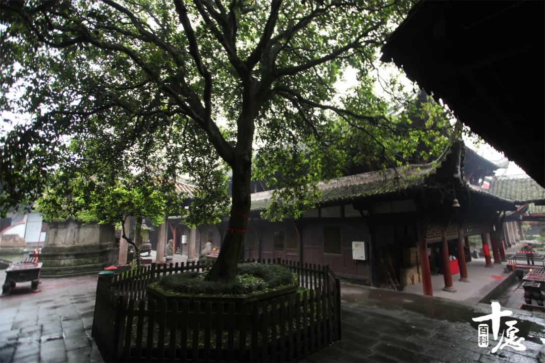 重庆双桂堂旅游攻略,重庆梁平双桂堂一日游