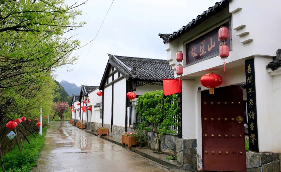 “创卫”开局见成效美丽陇南款款来——我市创建国家卫生城市暨城乡环境卫生整治工作综述