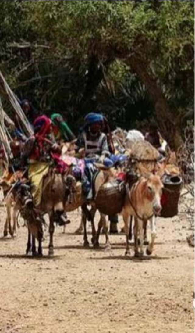 山海经2012白话全译彩图版pdf,山海经海外西经是指哪里