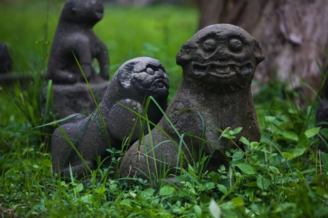 湛江菠萝海,湛江菠萝的海全景