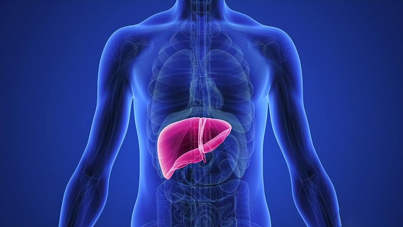 乙肝吃恩替卡韦停药后有什么危害,乙肝要长期吃恩替卡韦是严重了吗