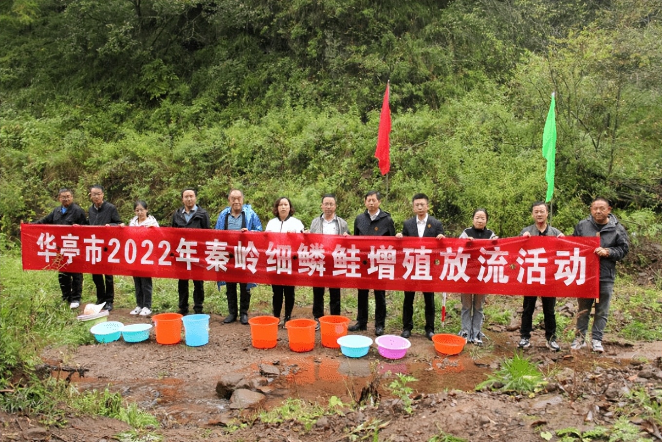 秦岭细鳞鲑是不是白条鱼,秦岭大量细鳞鲑逆流而上