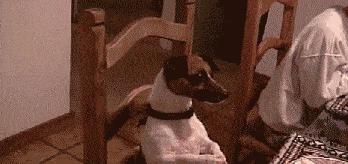 女孩去纹身结果喜欢上了纹身师,陪老婆去纹身