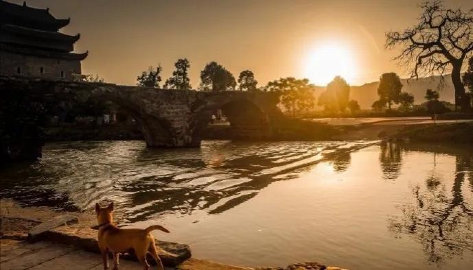 中庸智慧精华解析,中庸之道是先圣先贤的智慧结晶