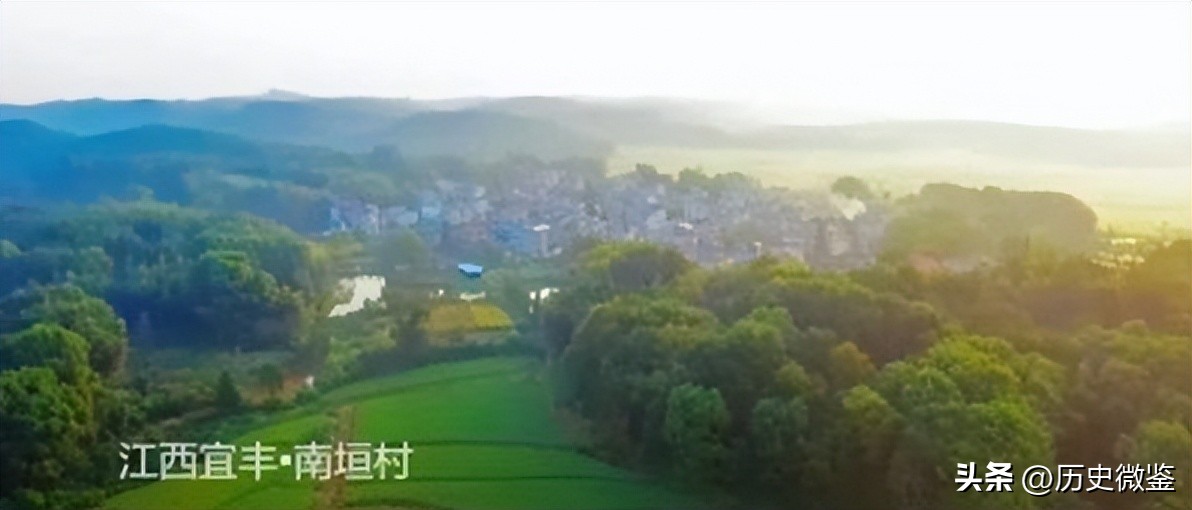 放弃年薪20万回家种地，气走父亲，几年后农产品销售额超600万