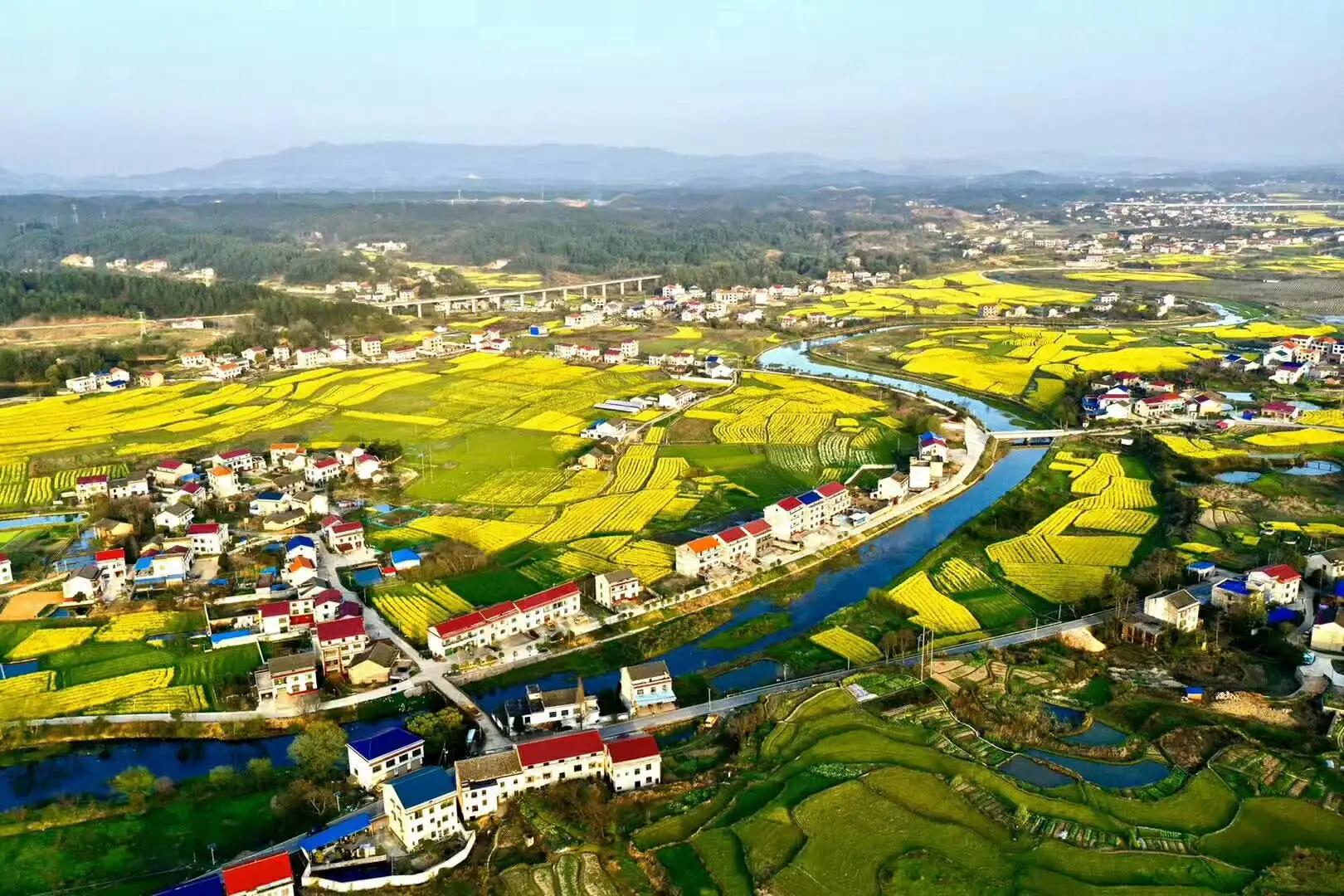 三农问题良心话之四：双季稻，莫把算盘子挂在云端上