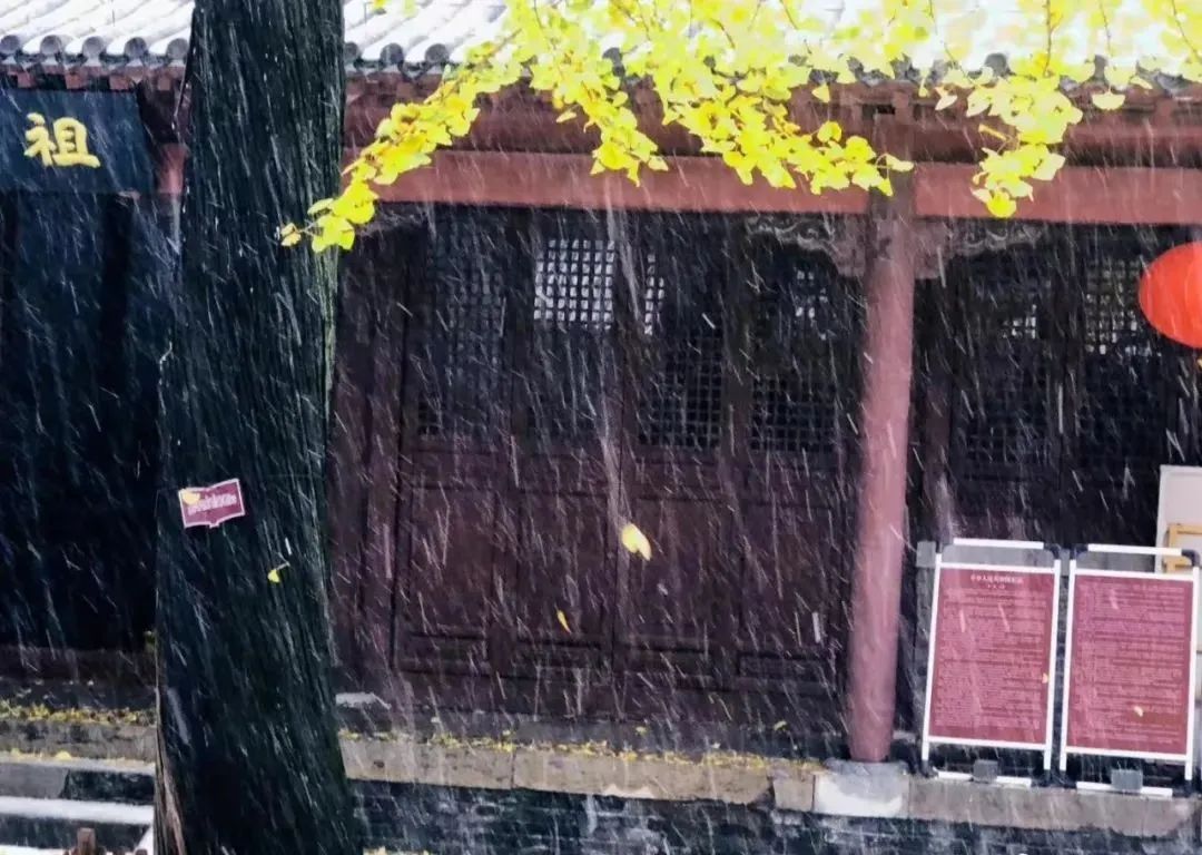 济南必去的打卡地,济南必去的十大打卡地