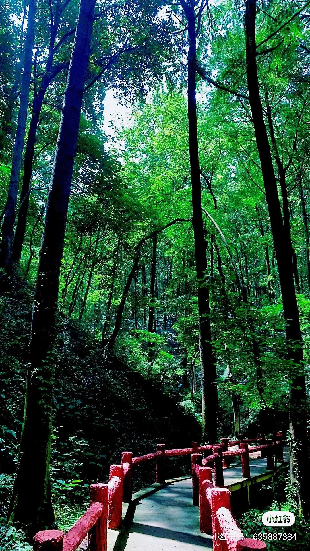 信阳南湾湖一日游详细攻略,信阳三日游攻略路线