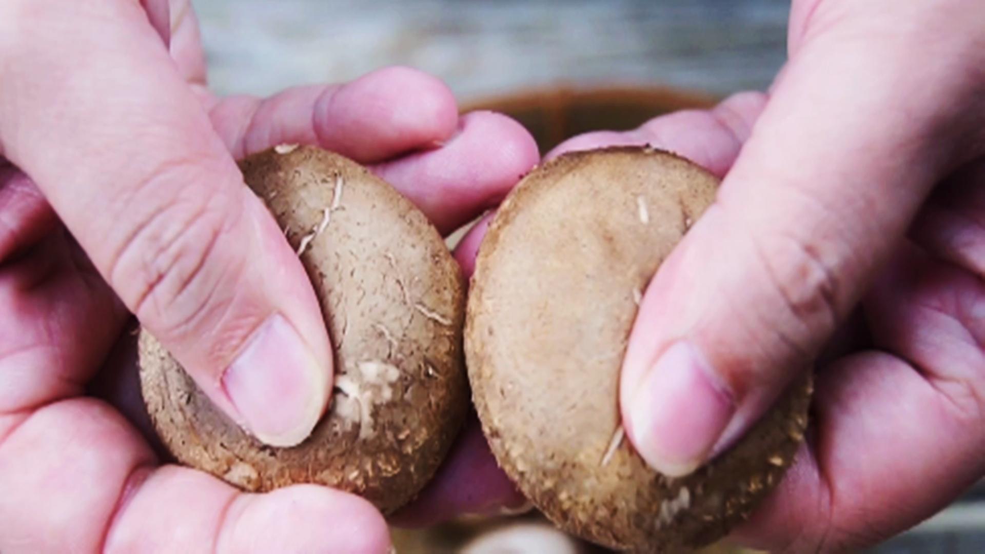 吃香菇到底要不要泡呢,吃香菇有什么讲究