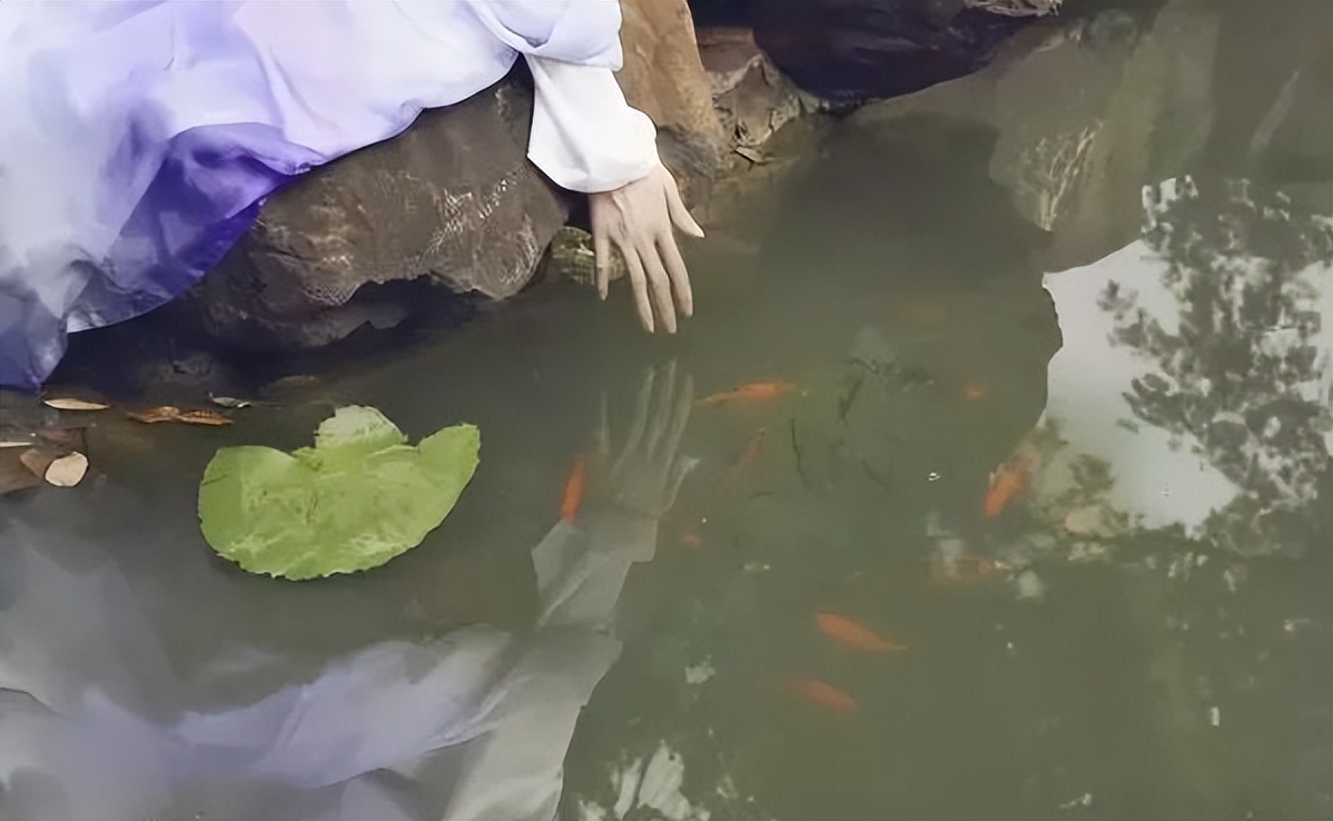 农历三月三荠菜煮鸡蛋寓意什么,三月三习俗荠菜煮鸡蛋的功效