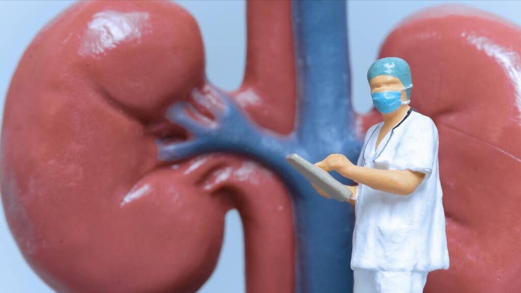 男性补什么睾酮素最好,男性补睾酮能治疗早泄吗