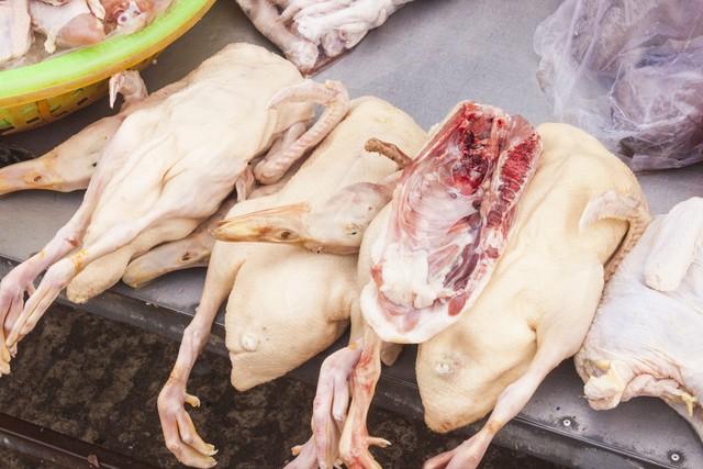 网上哪里买大鹅便宜,东北大鹅为什么这么便宜