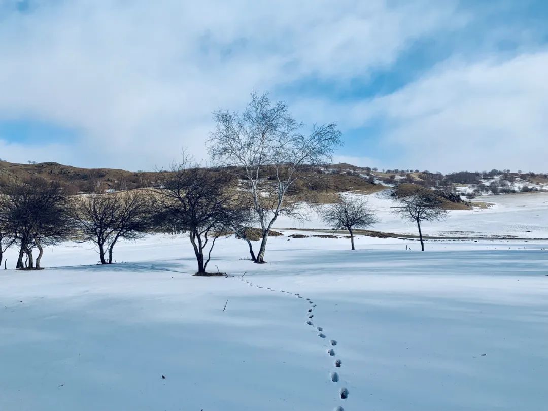 消费降级下的生活必需品,35岁开始消费降级
