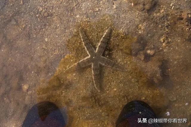 海岸线：海南岛西海岸之儋州——找寻隐秘在千年时光里的独特美景