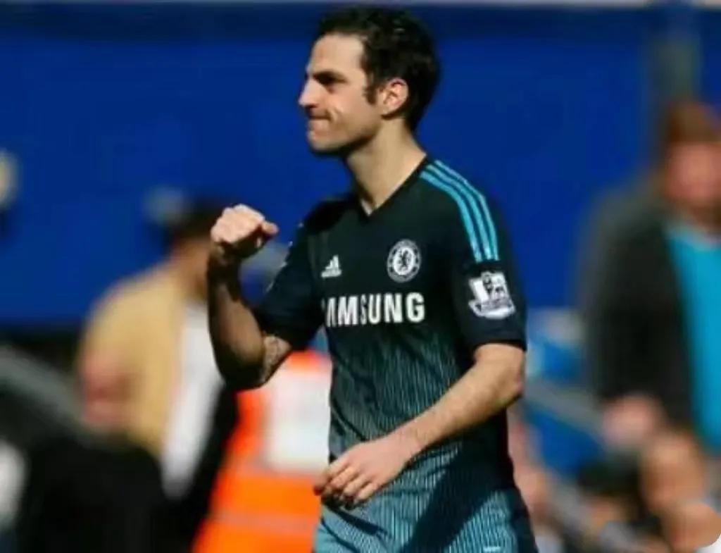 塞斯克法布雷加斯的师傅,弗朗塞斯克法布雷加斯