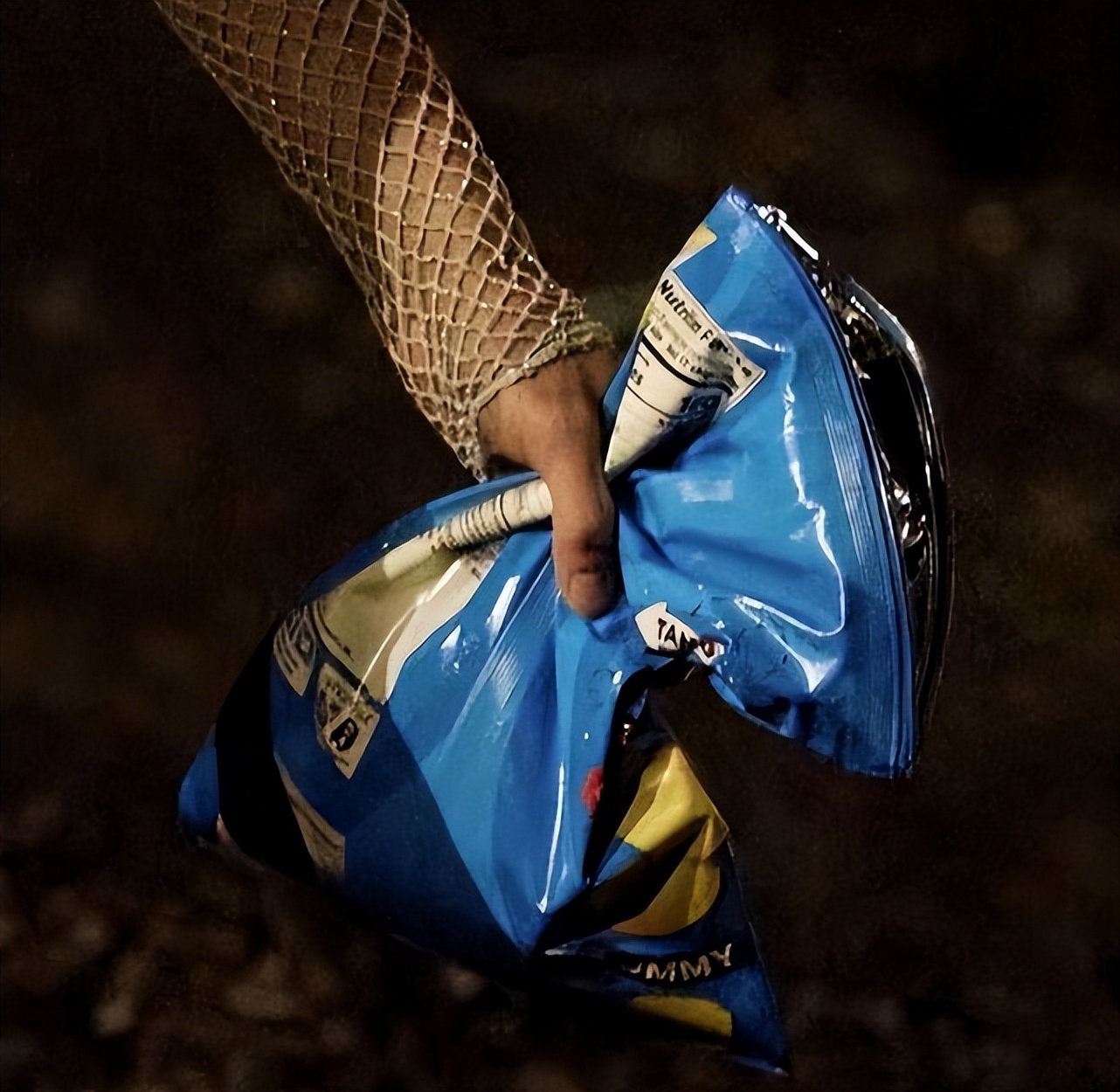 1包13000元的薯片，你吃过吗？