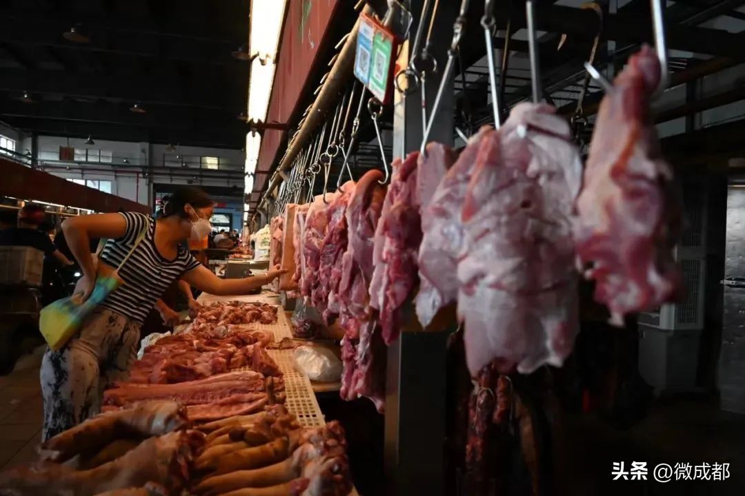 成都青年的十二时辰,成都十二时辰解读