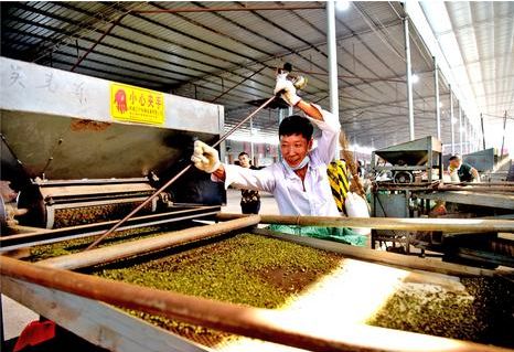 武都花椒生产成本不断攀升的原因,武都花椒原产地