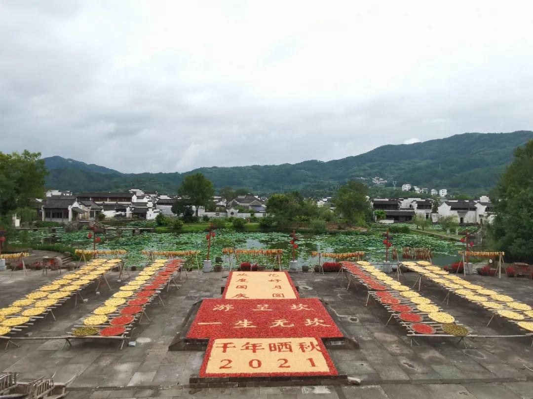 带你去看不一样的黄山之美,2020黄山旅游攻略带你玩转黄山