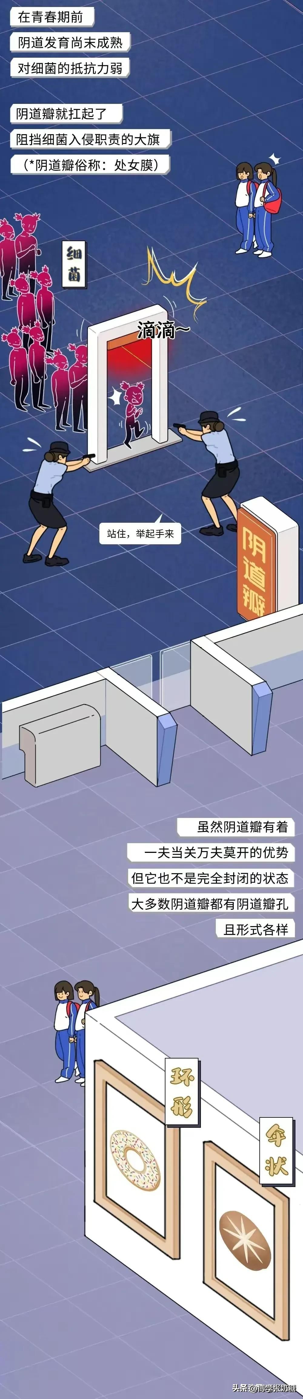 奇妙的女性生理构造，很多女孩自己都不知道！（漫画）