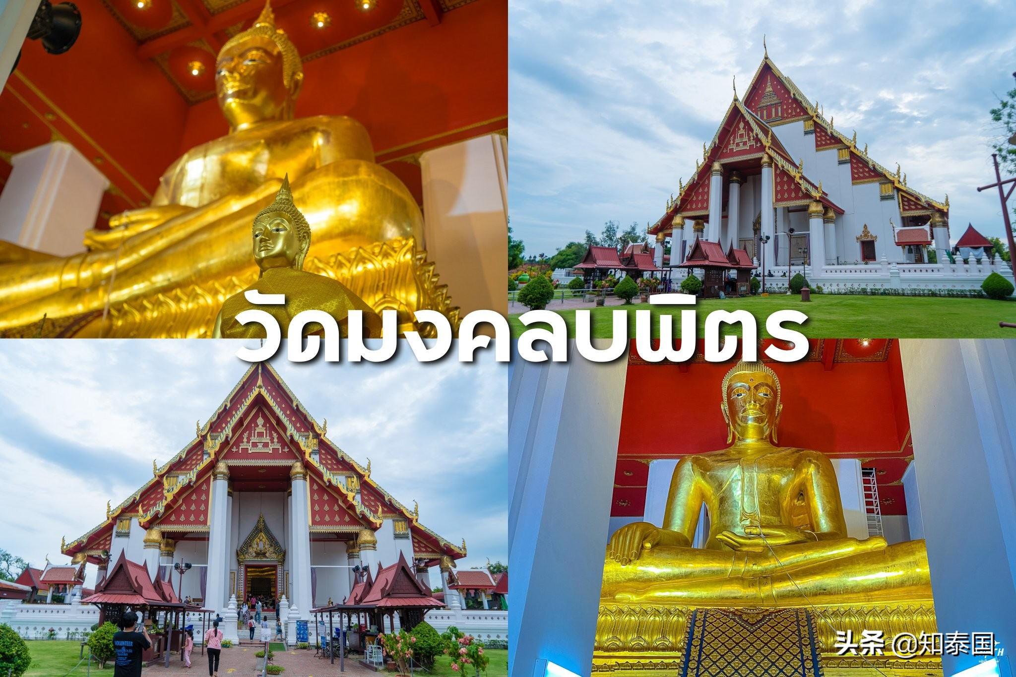 泰国卧佛寺值得去的原因,泰国最顶尖的佛寺