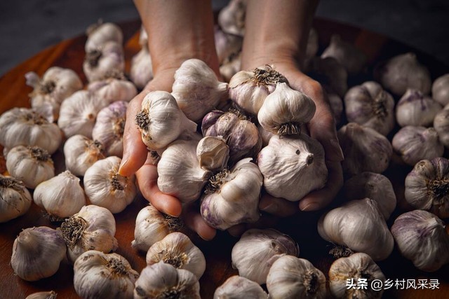 卖蒜农民真的不容易,小区门口卖大蒜生意惨淡