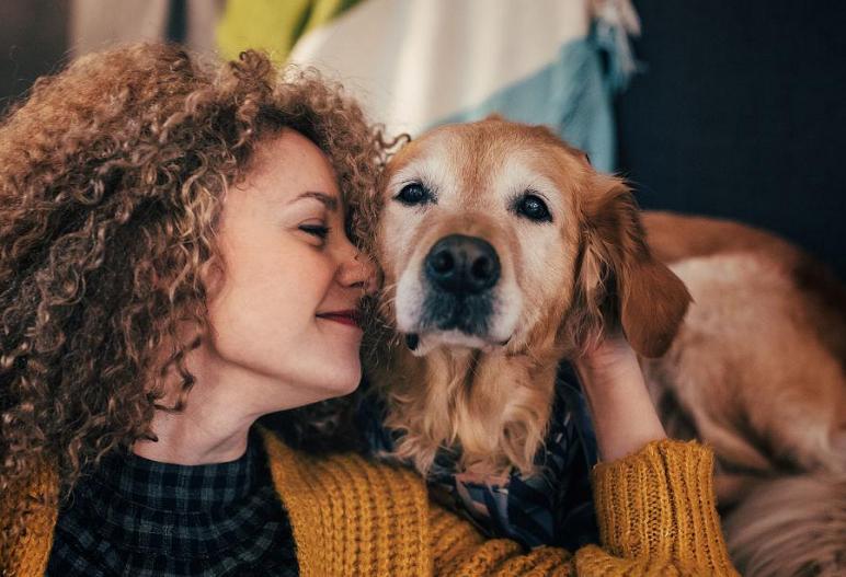 狗狗日常喂养小知识大公开,饲养狗狗的必备知识和技能