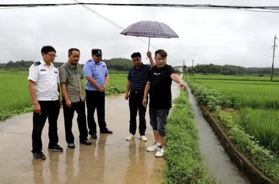 男子在山上捡到不知名小乌龟,男子在河里捡到一只小乌龟