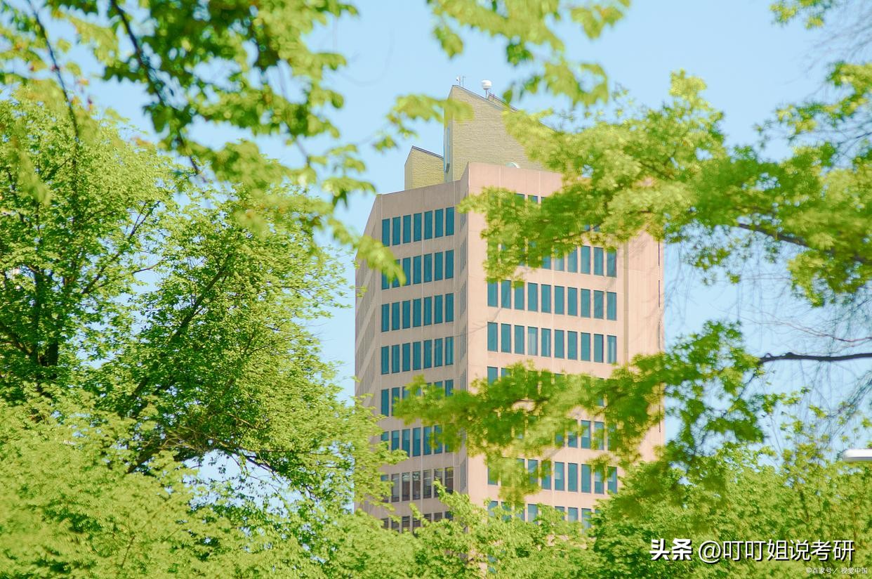 林业大学专业推荐,林业专业推荐