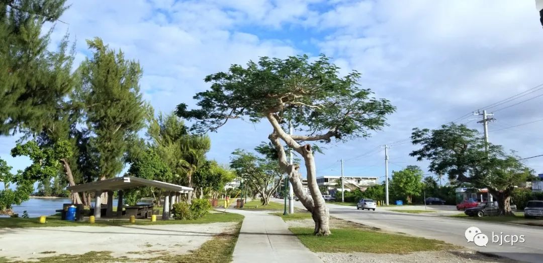 塞班岛免签政策45天还是14天,为什么塞班岛免签