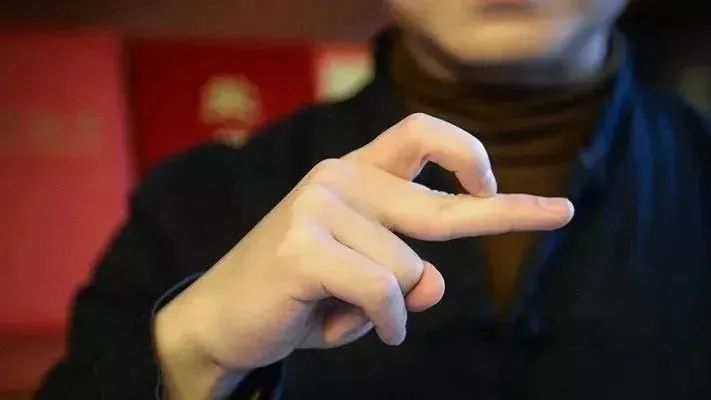 盘点2023年已去世的网红,2023年前十名网红