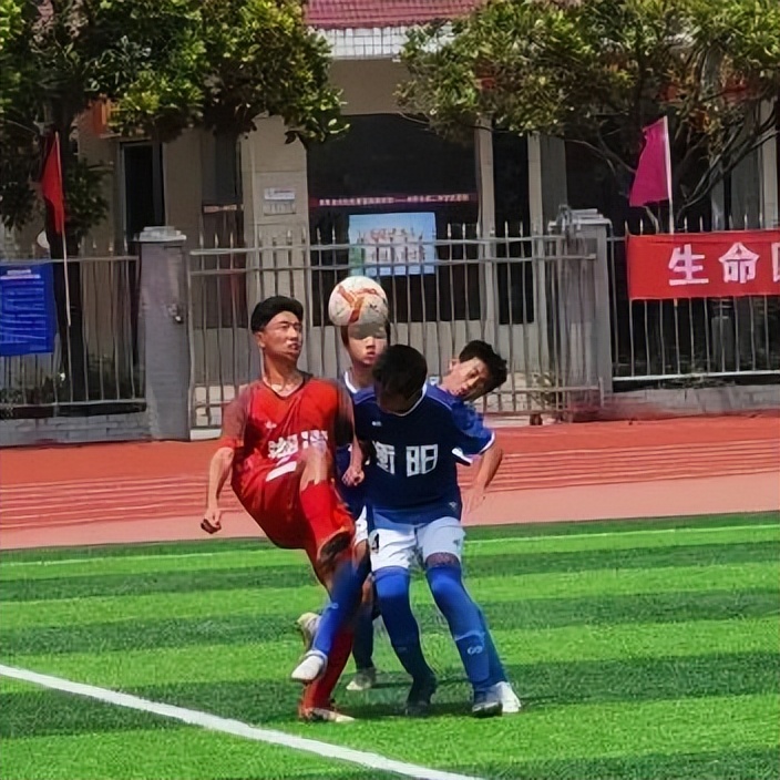 江声成绩单,省运会喜报