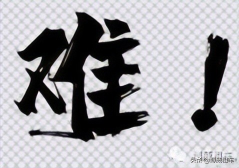 疫情之下，买不如租，带上“小鹏”，和花花草草“约”起来